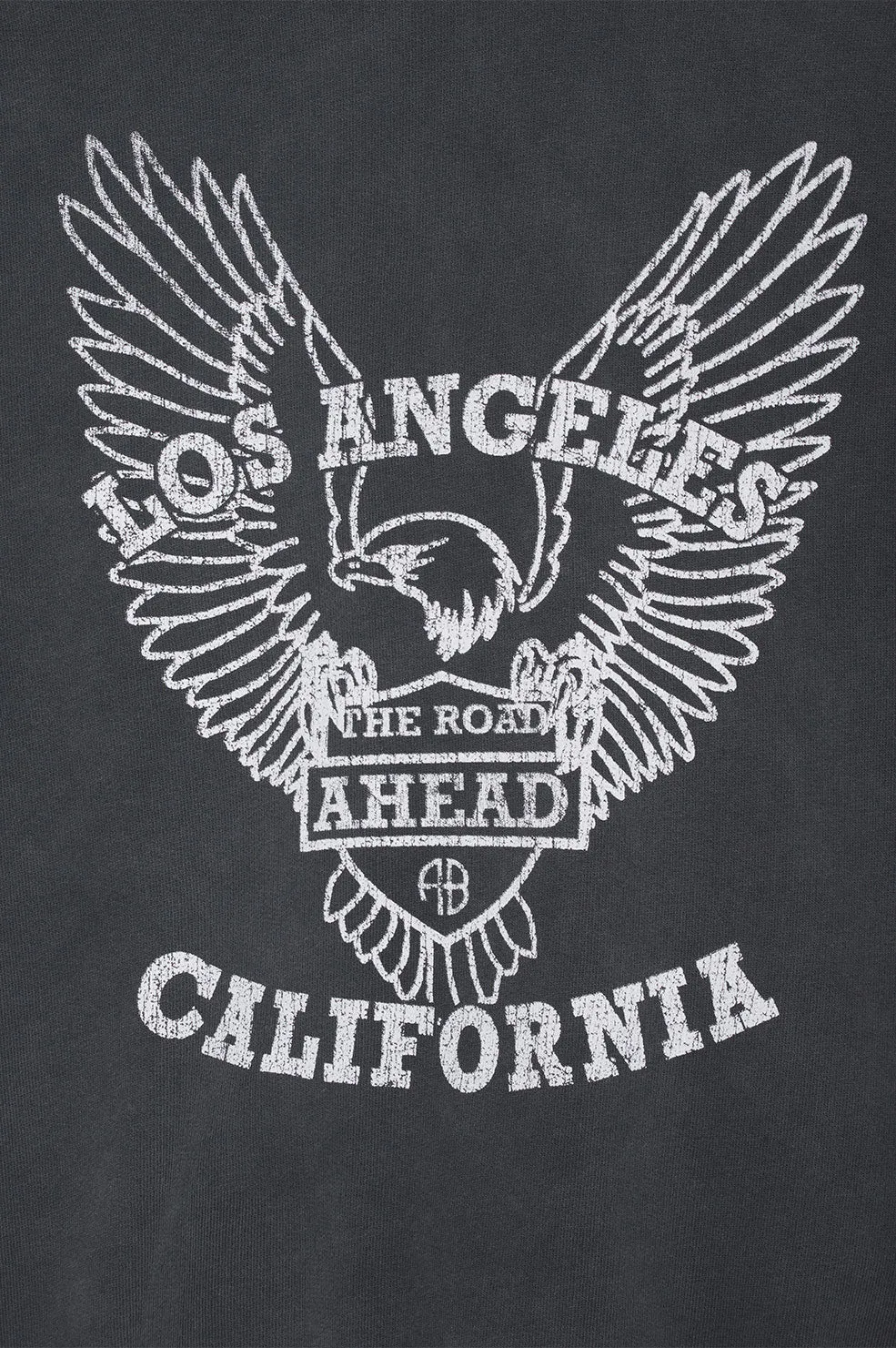 Alec Hoodie White Eagle Washed Black