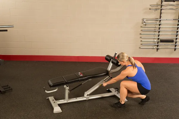 Body Solid ProClub Line Ab Bench