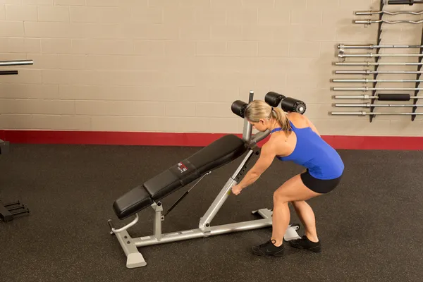 Body Solid ProClub Line Ab Bench