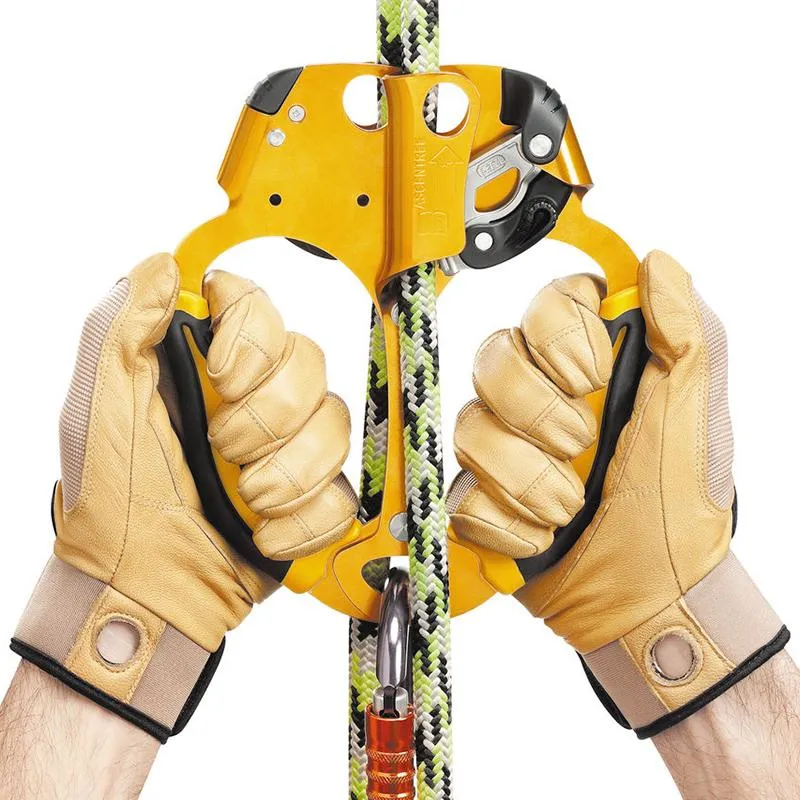 Petzl Ascentree
